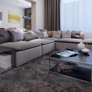 Living room contemporary style, 3D images